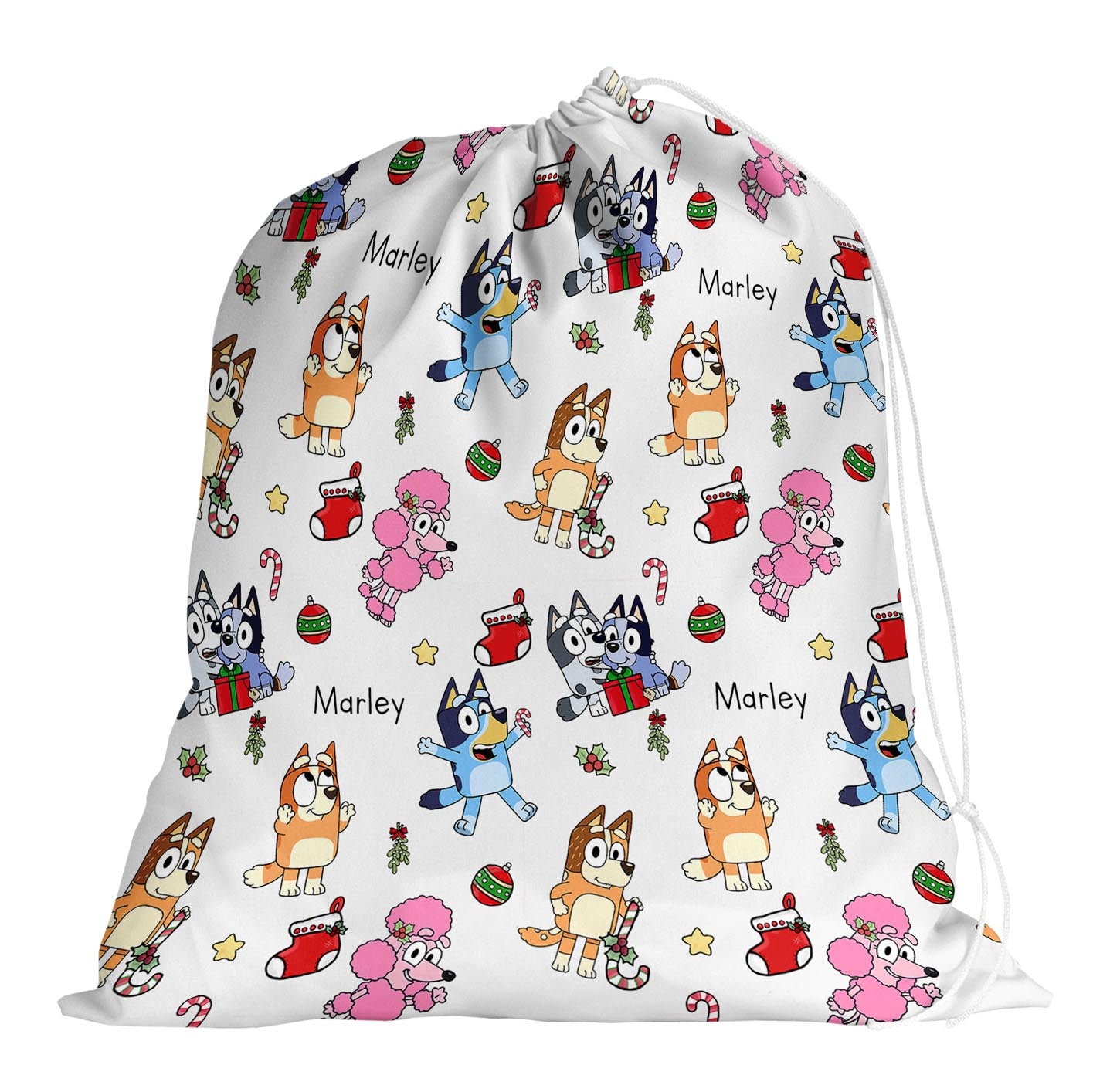 BLUEY SANTA SACK