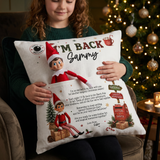 Elf Mail Pocket Cushion